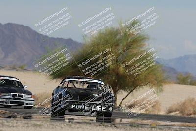 media/Oct-12-2025-Lucky Dog Racing (Sun) [[8adb5568ea]]/3-Third    Stint/4-Turn 4 (Tree of Life)/